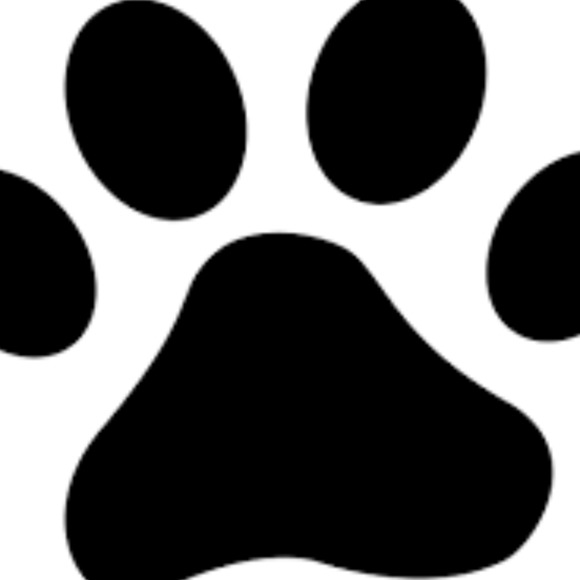 wyliekylie8